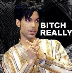 Meet your Posher, Sandy